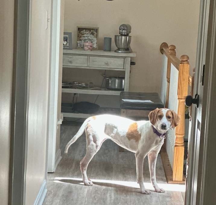 Photo of Hannah