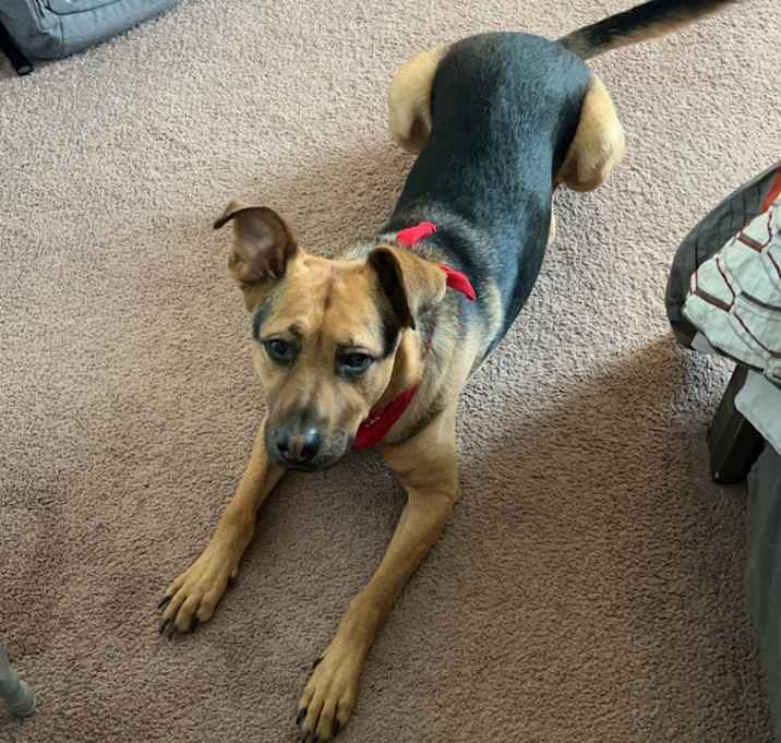 Photo of Monty