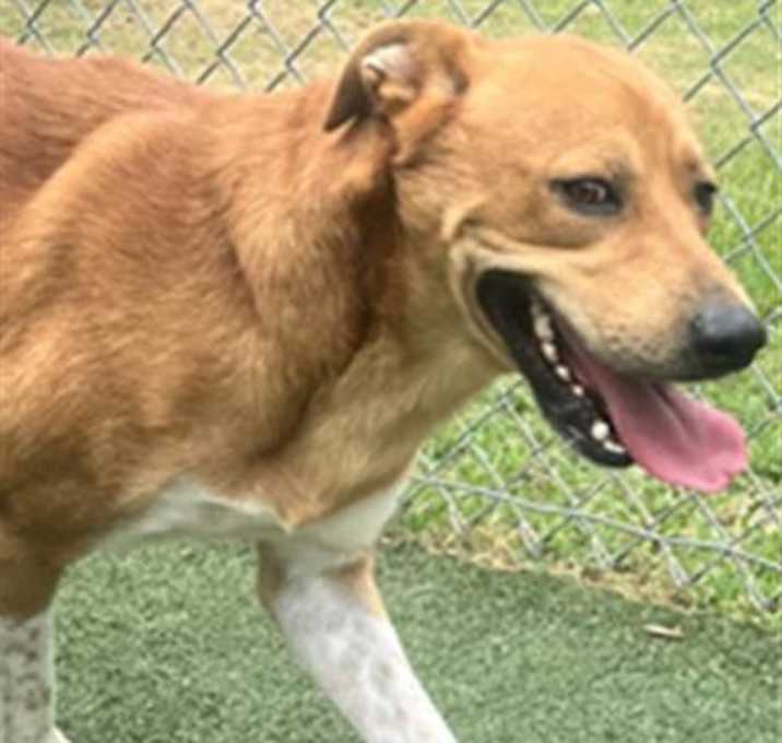 Photo of WATSON