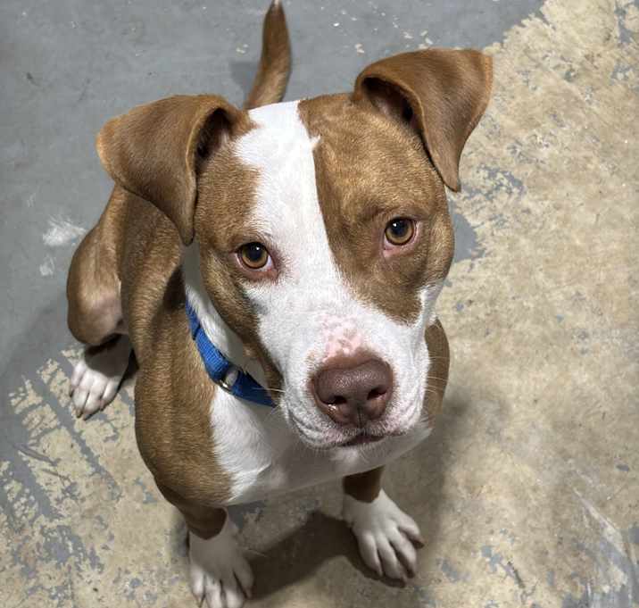 Photo of Rocky