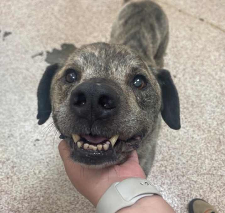 Photo of WAYLON