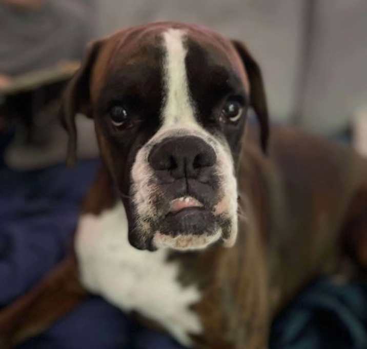 Photo of Arthur
