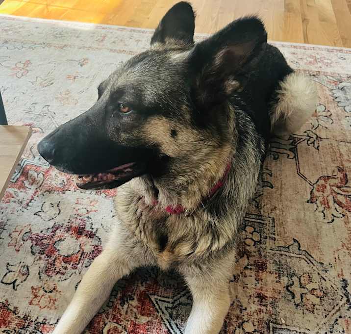 Photo of Maya