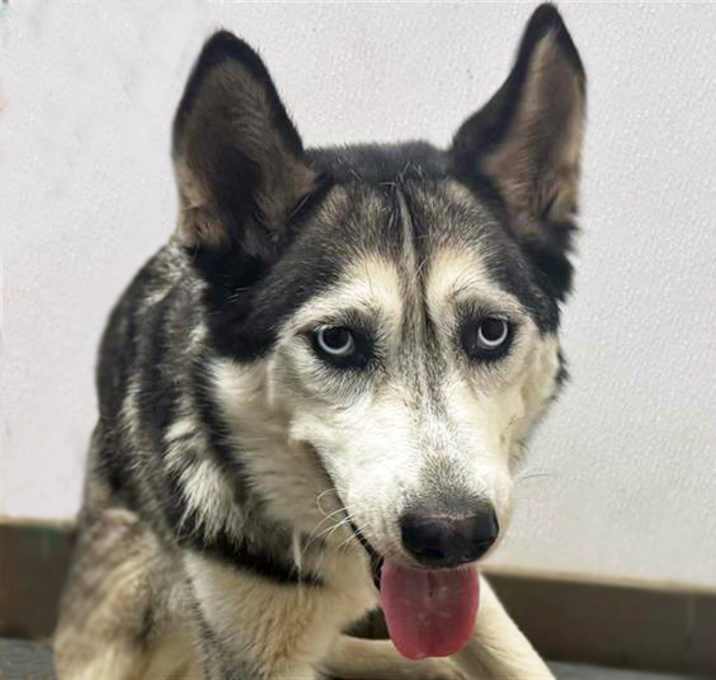 Photo of ANNIE