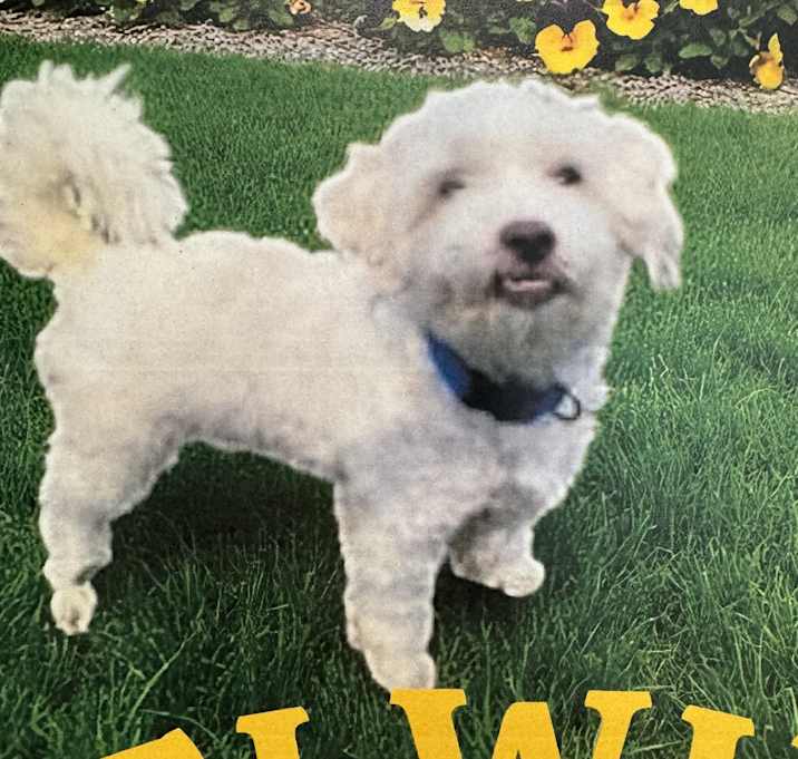Photo of Elwin