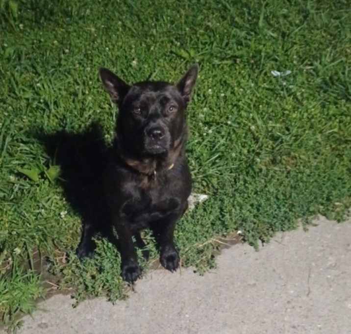 Photo of Mini