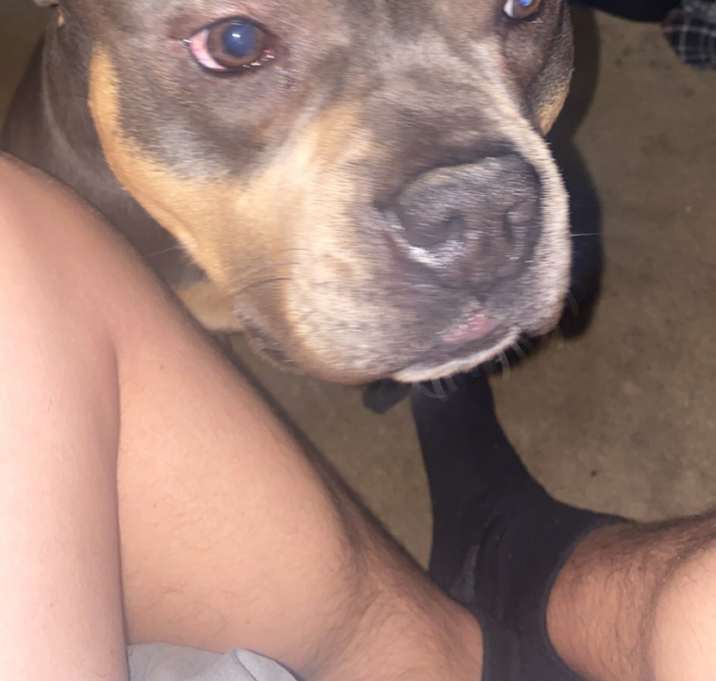 Photo of Rocky
