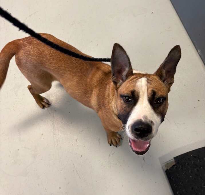 Photo of Molly