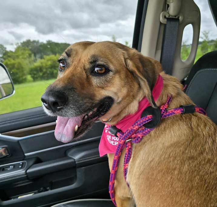 Photo of Roxi