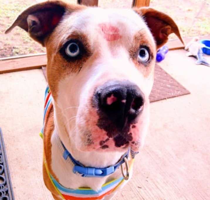 Photo of Sinatra