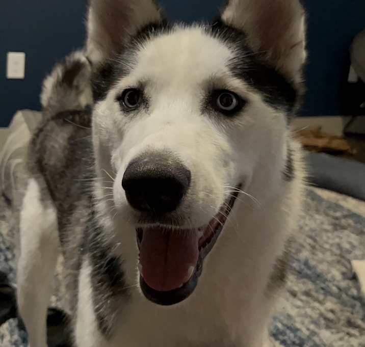 Photo of Aero