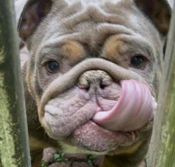 Photo of Itsy