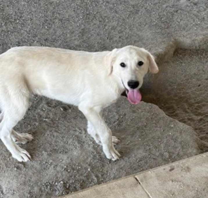 Photo of *Zuko