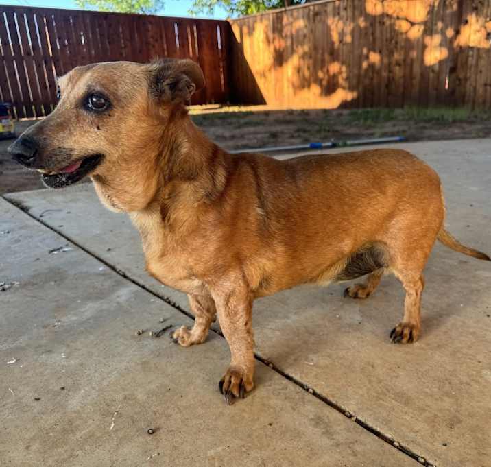 Photo of Dudley