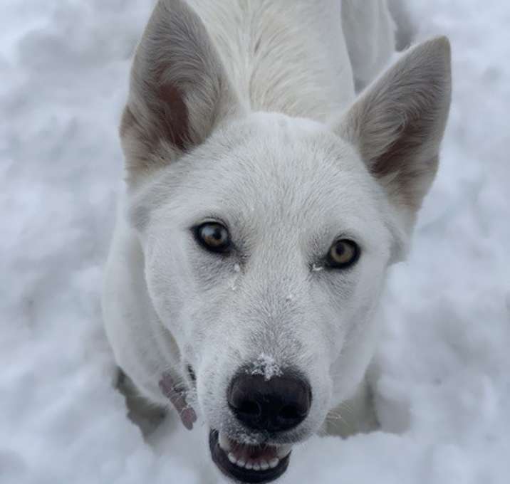 Photo of Winter (“Winnie”)