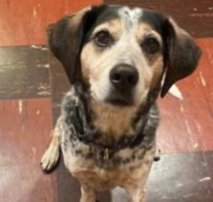 Photo of Spunky