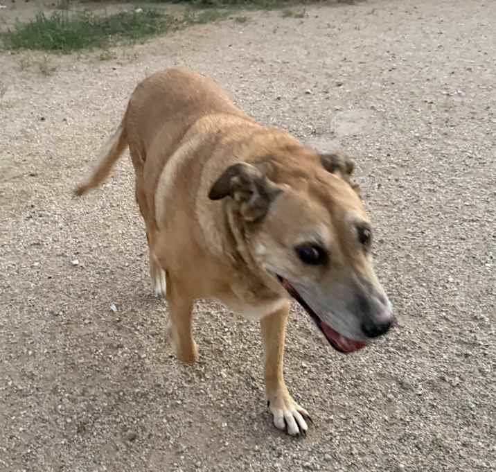 Photo of Molly