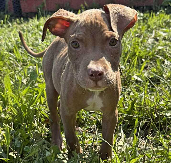 Photo of Tango