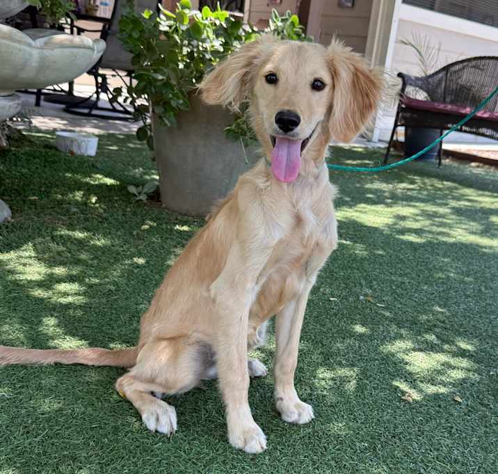 Photo of Ellie