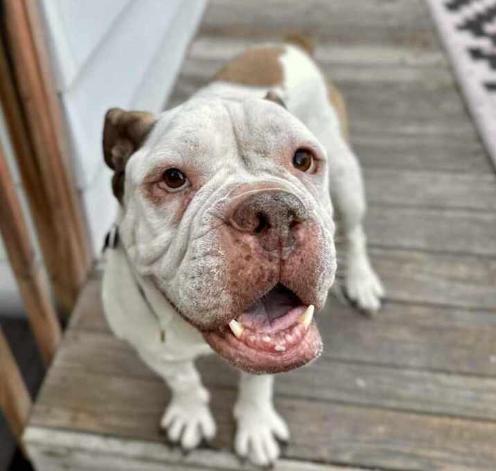 Photo of Serena