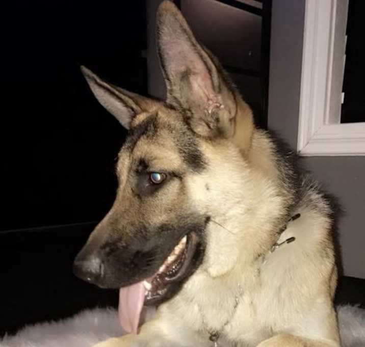 Photo of Rosko