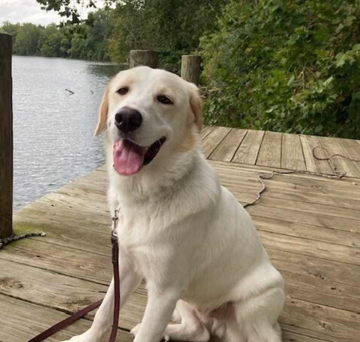 Photo of Murphy