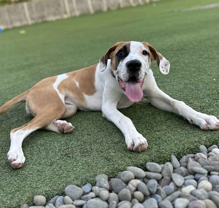 Photo of Lucy