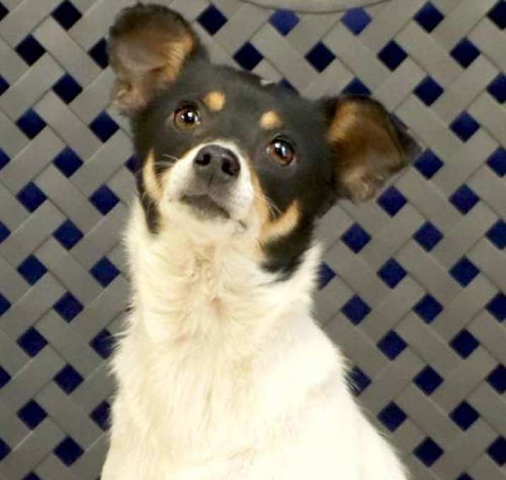 Photo of Nikki