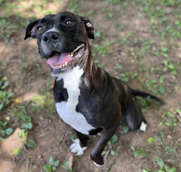 Photo of Momma Beatrice