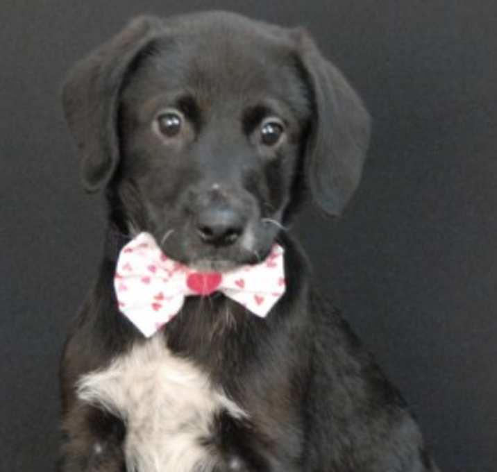 Photo of Bobbi Jo