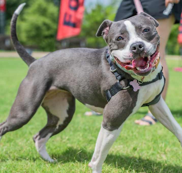 Photo of Rosie