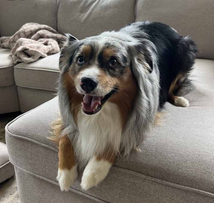Photo of Max