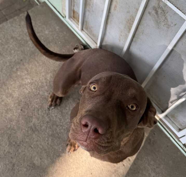 Photo of Teddy