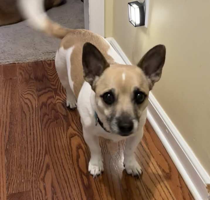 Photo of Sam