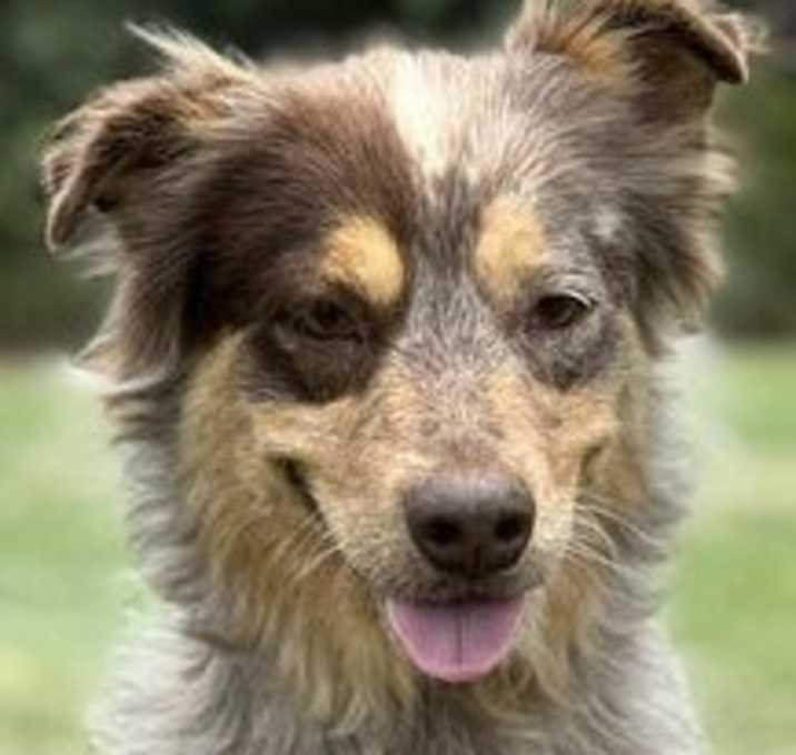 Photo of Tasha