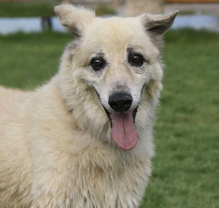 Photo of Jake