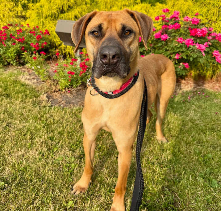 Photo of Oliver