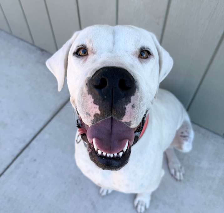 Photo of Remi-Roo