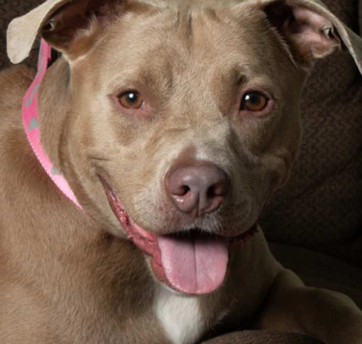 Photo of Gypsy