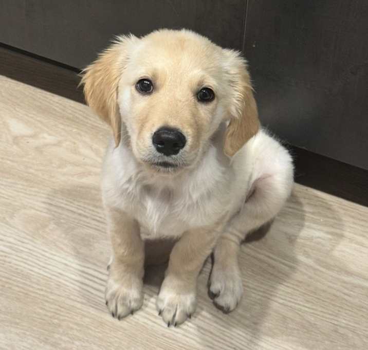 Photo of Georgie