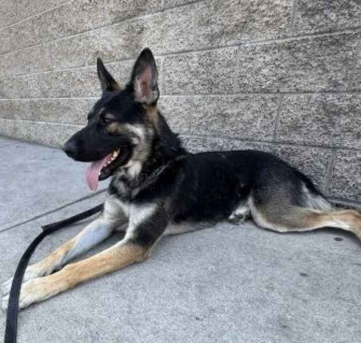 Photo of Bravo
