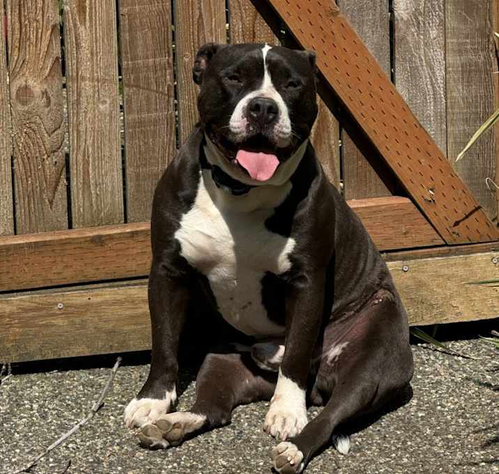 Photo of Bubba