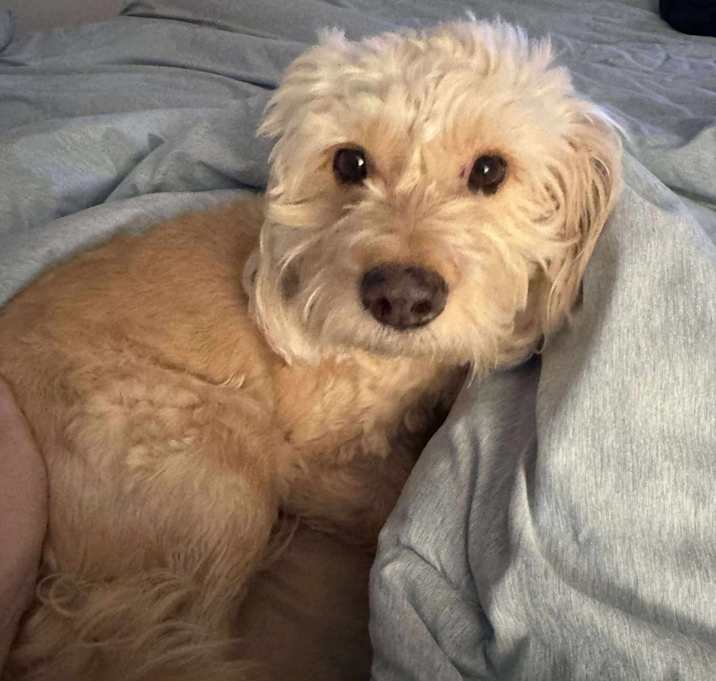 Photo of Max