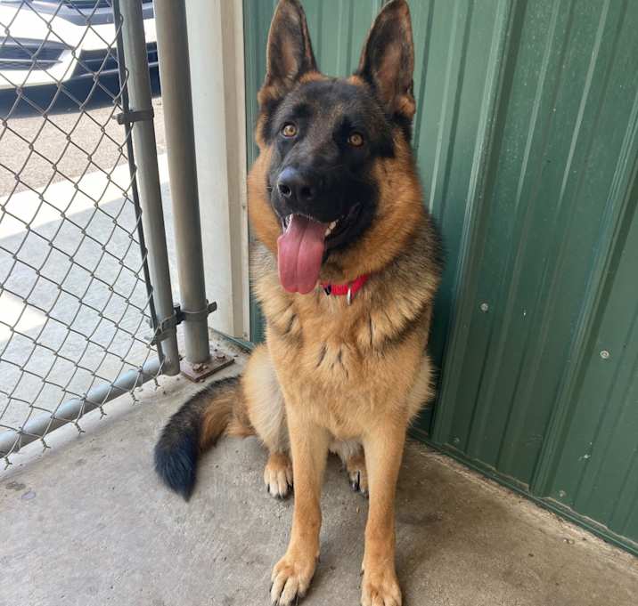 Photo of Lexi