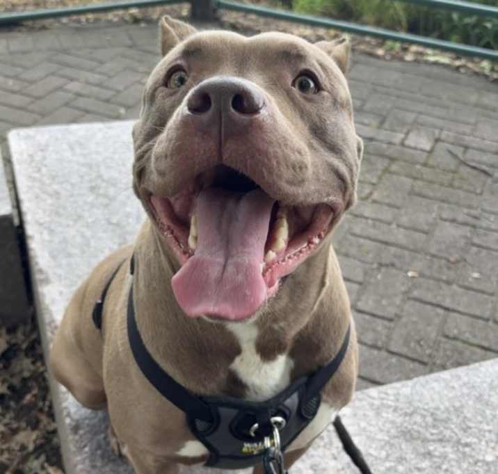 Photo of Mocha