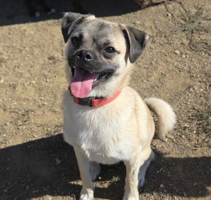 Photo of Doug