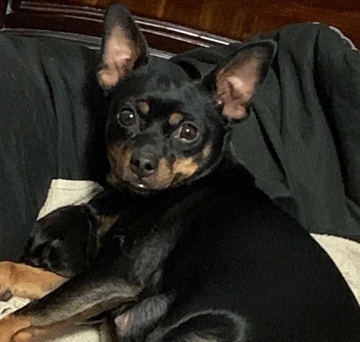 Photo of Star
