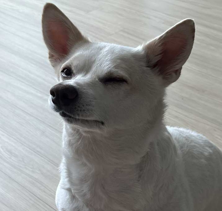 Photo of Binnie