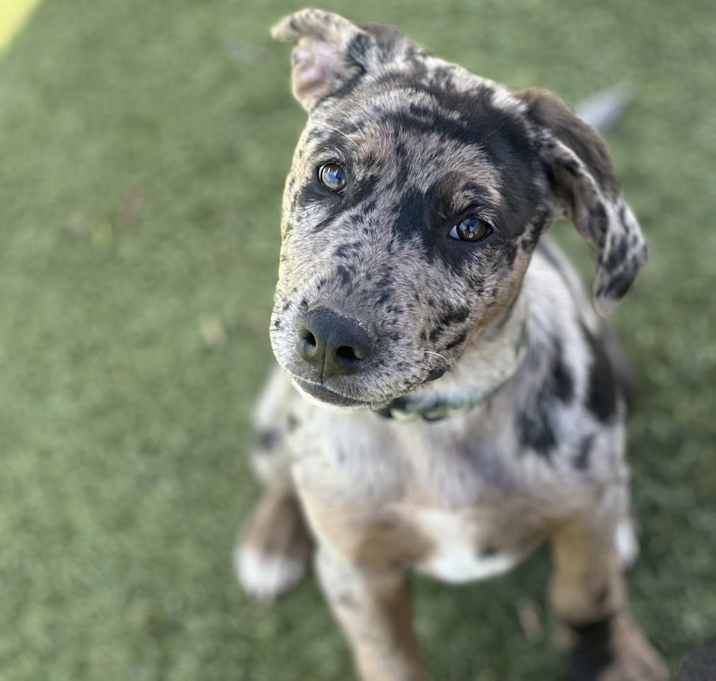Photo of Jude