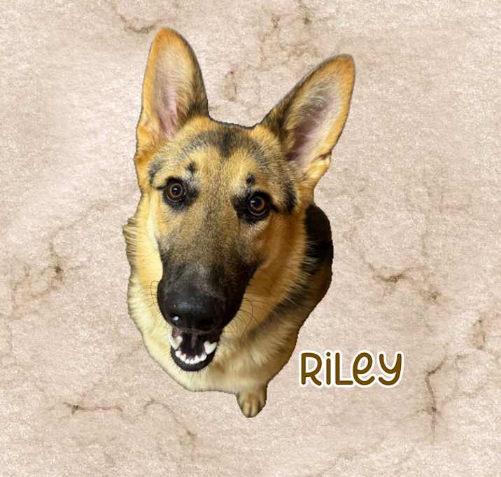 Photo of Riley